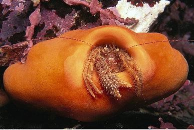 真事改编恐怖游戏《无声频道2》12月8日正式发售