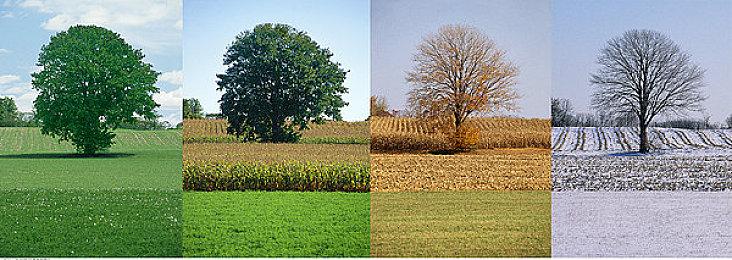 《使命召唤18：先锋》测试资格获取？用这个方法还能轻松加速