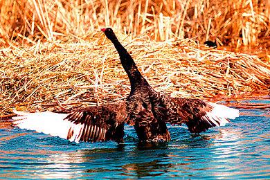 雷军告别《魔兽世界》：18年前就玩了 感慨万千 